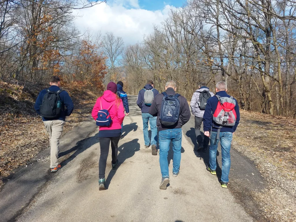 a picture of the colleagues at quickborn walking in a forest, brainstorming about blue ocean strategy in retail